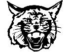  Wild Cat Decal