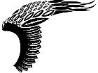  Wings 0 0 0 8 Decal