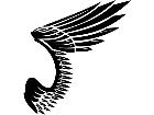  Wings 0 0 2 1 Decal