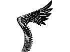  Wings 0 0 2 3 Decal