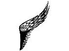  Wings 0 0 2 6 Decal