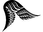  Wings 0 0 3 2 Decal