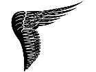  Wings 0 0 3 5 Decal