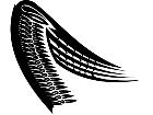  Wings 0 0 4 0 Decal
