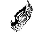 Wings 0 0 4 9 Decal