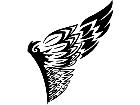  Wings 0 0 8 2 Decal