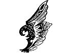  Wings 0 1 2 7 Decal