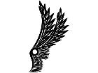  Wings 0 1 3 5 Decal