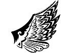  Wings 0 1 4 8 Decal