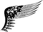  Wings 0 1 5 4 Decal