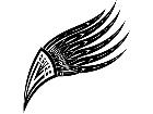  Wings 0 1 5 9 Decal