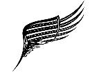  Wings 0 1 6 6 Decal