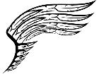  Wings 0 1 6 8 Decal