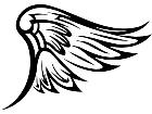  Wings 0 1 7 0 Decal