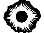  Zodiac Myth Eclipse 1 7 5 V A 1 Decal
