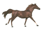 Free Animated Gif