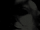Free Animated Gif