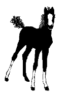 Free Animated Gif