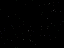 Free Animated Gif