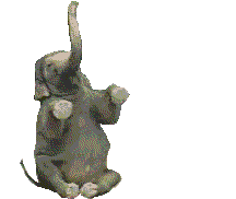 Free Animated Gif