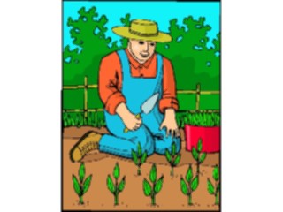 Sticker Custom Preview Image #000842 Agriculture Farmer12