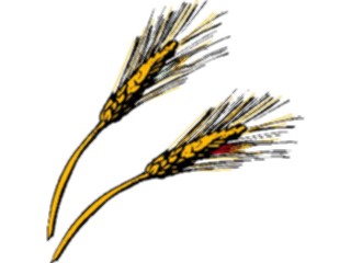 Sticker Custom Preview Image #000978 Agriculture Wheat3