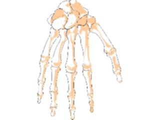 Sticker Custom Preview Image #014683 Anatomy Hand3