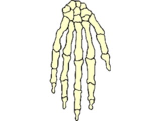 Sticker Custom Preview Image #014689 Anatomy Hand9