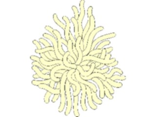 Sticker Custom Preview Image #014872 Animals Aquatic Anemone2