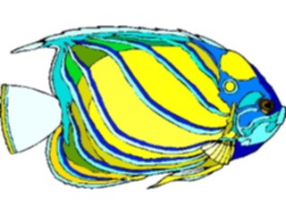 Sticker Custom Preview Image #014885 Animals Aquatic Angel Fish11