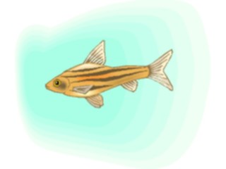 Sticker Custom Preview Image #014902 Animals Aquatic Barb2