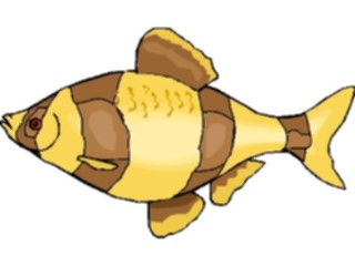 Sticker Custom Preview Image #014904 Animals Aquatic Barb Tiger1