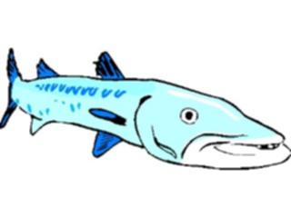 Sticker Custom Preview Image #014907 Animals Aquatic Barracuda2
