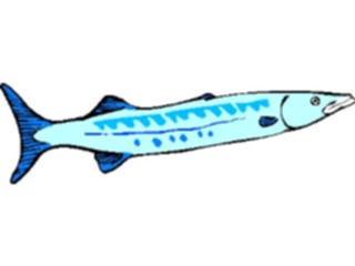 Sticker Custom Preview Image #014908 Animals Aquatic Barracuda3