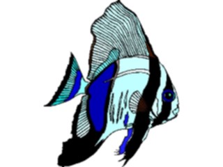 Sticker Custom Preview Image #014909 Animals Aquatic Batfish