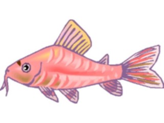 Sticker Custom Preview Image #014943 Animals Aquatic Catfish Corydoras2