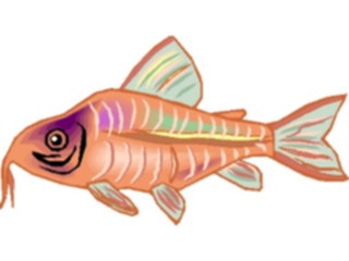 Sticker Custom Preview Image #014945 Animals Aquatic Catfish Corydoras4