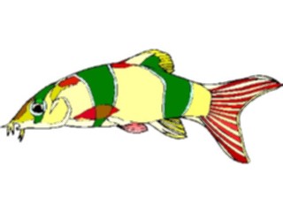 Sticker Custom Preview Image #014971 Animals Aquatic Clown Loach