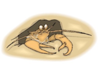 Sticker Custom Preview Image #015028 Animals Aquatic Crab Hermit3