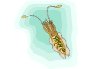 Sticker Custom Preview Image #015033 Animals Aquatic Cuttlefish