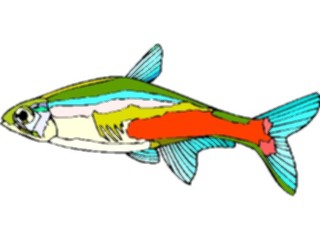 Sticker Custom Preview Image #015578 Animals Aquatic Neon Tetra