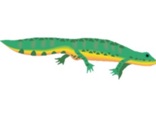 Sticker Custom Preview Image #015579 Animals Aquatic Newt