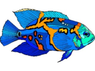 Sticker Custom Preview Image #015595 Animals Aquatic Oscar1