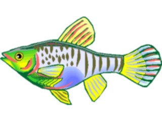 Sticker Custom Preview Image #015619 Animals Aquatic Platy4