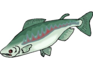 Sticker Custom Preview Image #015654 Animals Aquatic Salmon2