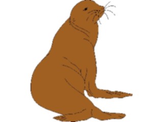 Sticker Custom Preview Image #015663 Animals Aquatic Sea Lion1