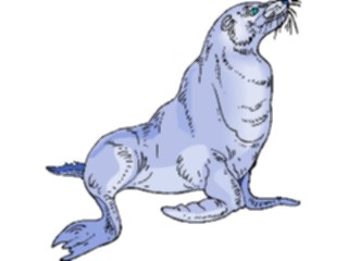 Sticker Custom Preview Image #015668 Animals Aquatic Sea Lion6