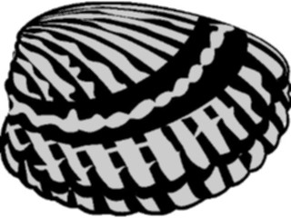 Sticker Custom Preview Image #015679 Animals Aquatic Sea Shell05