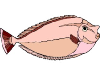 Sticker Custom Preview Image #015977 Animals Aquatic Unicorn Tang