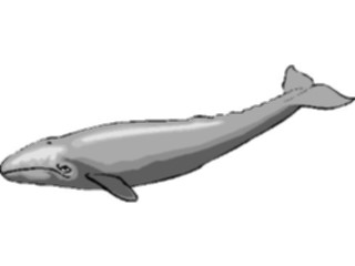 Sticker Custom Preview Image #016021 Animals Aquatic Whale Gray1